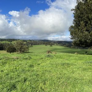 Farmer Butchers Mega Free Meat giveaway