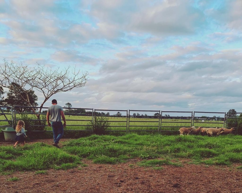 Gladestone Butchery banner