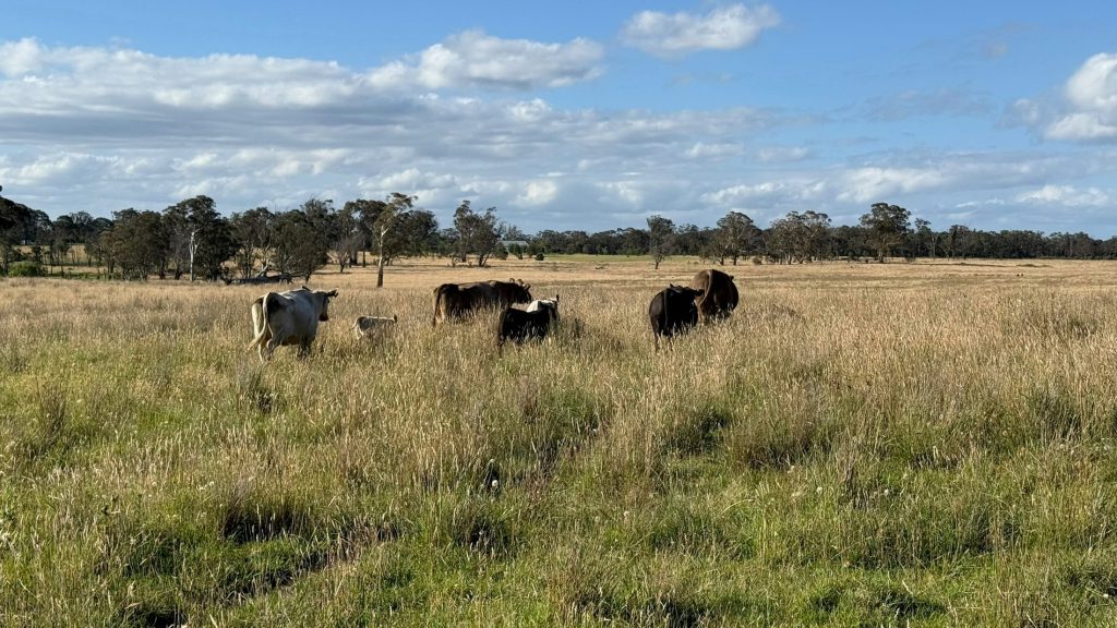 Warrego farm fresh meats banner
